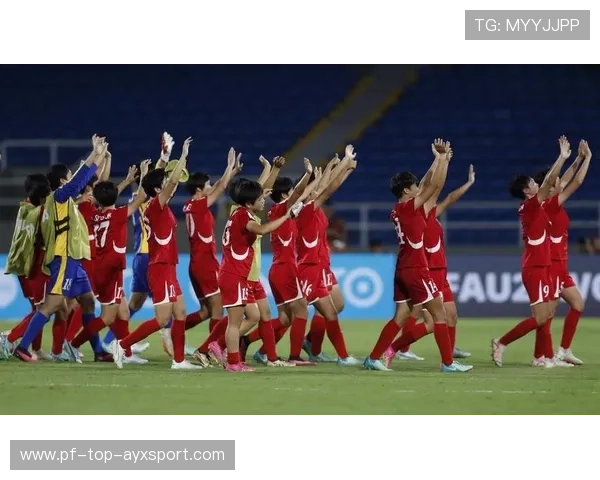 女足世界杯半决赛精彩对决：荷兰与朝鲜携手晋级决赛，女足世界杯荷兰中国